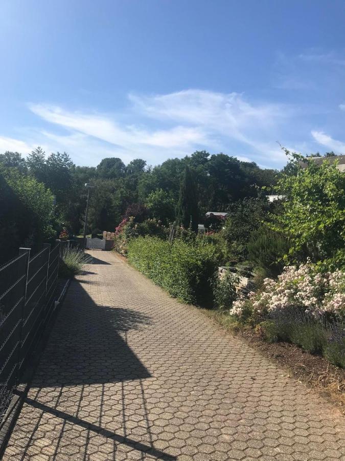 Apartamento Bei Annemarie Tréveris Exterior foto